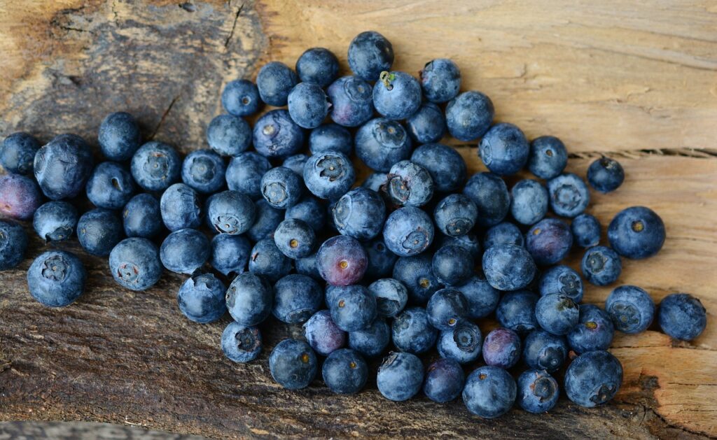 blueberries, berries, fruits, blue, fresh, harvest, ripe, sweet, produce, organic, fresh produce, bunch, food, eat, healthy, blueberries, blueberries, blueberries, blueberries, blueberries, berries